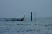 夢(mèng)中的魚影，一次自我探索的殺魚夢(mèng)，夢(mèng)中之魚影，一次自我探索的殺魚夢(mèng)境