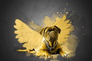 夢(mèng)到路上撿錢，財(cái)富的預(yù)兆還是虛幻的夢(mèng)？