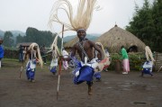 夢(mèng)中的芒果之旅，夢(mèng)游芒果之旅