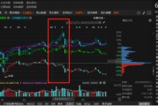 祥源文旅非經(jīng)營性資金占用雖已歸還，但仍被出具警示函！