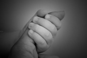 孕婦夢(mèng)到狼，寓意與解讀，孕婦夢(mèng)到狼的寓意與解讀