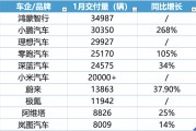 蔚來(lái)跟進(jìn)特斯拉5年0息政策，1月新勢(shì)力車(chē)企座次再一次生變