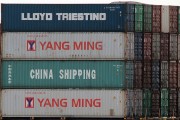 流量費(fèi)網(wǎng)站的崛起與影響，流量費(fèi)網(wǎng)站的發(fā)展與趨勢(shì)，對(duì)消費(fèi)者和運(yùn)營(yíng)商的影響