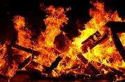 水果忍者游戲下載免費(fèi)——一款讓玩家熱血沸騰的冒險(xiǎn)動(dòng)作游戲，超爽激戰(zhàn)！5大經(jīng)典角色，讓你在水果忍者中體驗(yàn)無(wú)與倫比的刺激戰(zhàn)斗