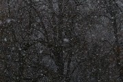 夢中雪舞，心靈的洗禮，夢中雪舞，心靈的洗禮