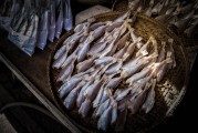 夢(mèng)游奇幻之?！獕?mèng)到奇怪的魚