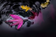 論安琪拉免費(fèi)游戲的影響力，安琪拉，一個(gè)免費(fèi)游戲的魅力及其對(duì)游戲行業(yè)的深遠(yuǎn)影響
