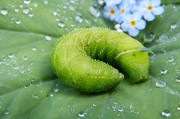 綠色環(huán)保，從注冊(cè)綠色開始—綠色平臺(tái)注冊(cè)指南，綠色注冊(cè)，開啟環(huán)保之旅——綠色平臺(tái)注冊(cè)攻略