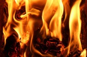 行尸走肉游戲免費(fèi)下載，讓你在末日中找尋生存之道，高清免費(fèi)的行尸走肉游戲大放送，末世求生必備神器