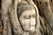 游戲中的情感釋放，憤怒與自由，深度解析，游戲中的情感釋放、憤怒與自由