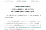 因涉嫌信息披露違法違規(guī)，先鋒新材及總經(jīng)理盧先鋒被立案