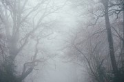 夢境中的奇妙之旅，一次關(guān)于屎的夢境解析，夢境中的奇幻之旅，屎的夢境解析