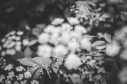 夢(mèng)中的告別，一次與逝者的邂逅，夢(mèng)中的告別，與逝者的邂逅