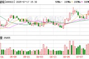 控股股東所持部分股票被司法凍結(jié) 瀚川智能面臨實控人變更的重大風險