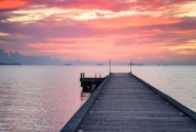 夢中的驚險(xiǎn)之旅，一場被鱷魚追逐的噩夢，夢中的驚險(xiǎn)之旅，被鱷魚追逐的噩夢