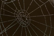 Unity開發(fā)的概述，Unity，創(chuàng)建3D游戲和應(yīng)用程序的強大工具