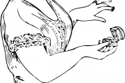 女人夢(mèng)到黑蛇，解讀與解析，女人夢(mèng)到黑蛇，解讀與解析