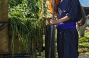 能在掙錢的免費農場游戲中生存下去嗎？，逃脫農地，自由農場生存挑戰(zhàn)