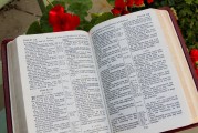 團(tuán)員證漏注冊(cè)怎么辦？全方位解答您的困惑，團(tuán)員證注冊(cè)遺漏解決方案全解析