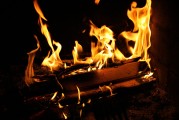 烏克蘭切爾諾貝利地區(qū)發(fā)生森林火災