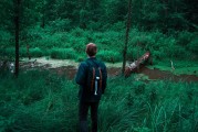 憤怒的小鳥(niǎo)2免費(fèi)游戲，開(kāi)啟你的綠色飛行之旅