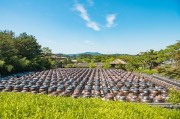 打造空中農(nóng)田，讓夢想照進現(xiàn)實——免費種地游戲的探索與啟示，空中農(nóng)田，挑戰(zhàn)、機遇與啟示——一個免費種地游戲的探討