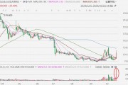 優(yōu)必選放量飆升近30%，正式發(fā)布全新一代工業(yè)人形機器人Walker S1
