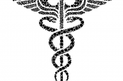 夢(mèng)中的蛇影，解析夢(mèng)到蛇被砍成好幾段的深層含義，夢(mèng)中的蛇影，解析夢(mèng)到蛇被砍成好幾段的深層心理含義