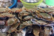 夢中奇遇，螃蟹與魚的共舞，夢中奇遇，螃蟹與魚的共舞