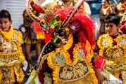 夢(mèng)中出嫁的奇幻之旅，夢(mèng)中出嫁的奇幻之旅