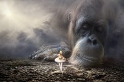 夢中的預(yù)言者——一次奇妙的算命夢，夢中的預(yù)言者，奇妙的算命夢之旅