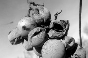周公解夢(mèng)之夢(mèng)到大便的寓意與解析，周公解夢(mèng)，夢(mèng)到大便的寓意與解析