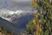 夢(mèng)境中的狂風(fēng)暴雨，一場(chǎng)心靈的洗禮，夢(mèng)境狂風(fēng)暴雨，心靈的洗禮之旅