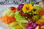 探索美食的樂趣，制作漢堡游戲免費(fèi)下載，漢堡大戰(zhàn)，模擬漢堡制作大師