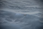 翱翔太空的戰(zhàn)爭游戲——星際爭霸，星際爭霸，浩瀚宇宙中的英勇對決