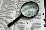 深入解析，如何使用Go語言高效搭建網(wǎng)站，Go語言高效構(gòu)建網(wǎng)站全攻略揭秘