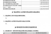 中央匯金，加倉！