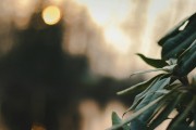 漫漫的ACG之路，尋找和熱愛的那份樂趣，ACG之路上，探索與熱愛的樂趣