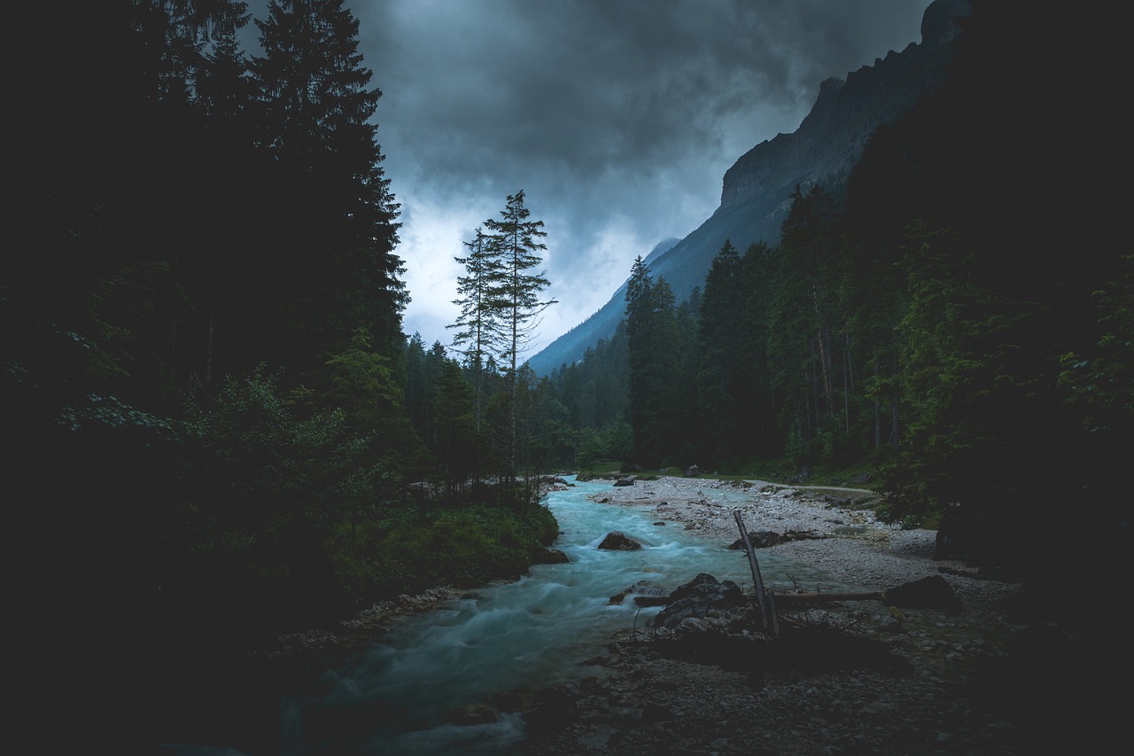 夢(mèng)境中的幽靈——我的夢(mèng)中死人經(jīng)歷