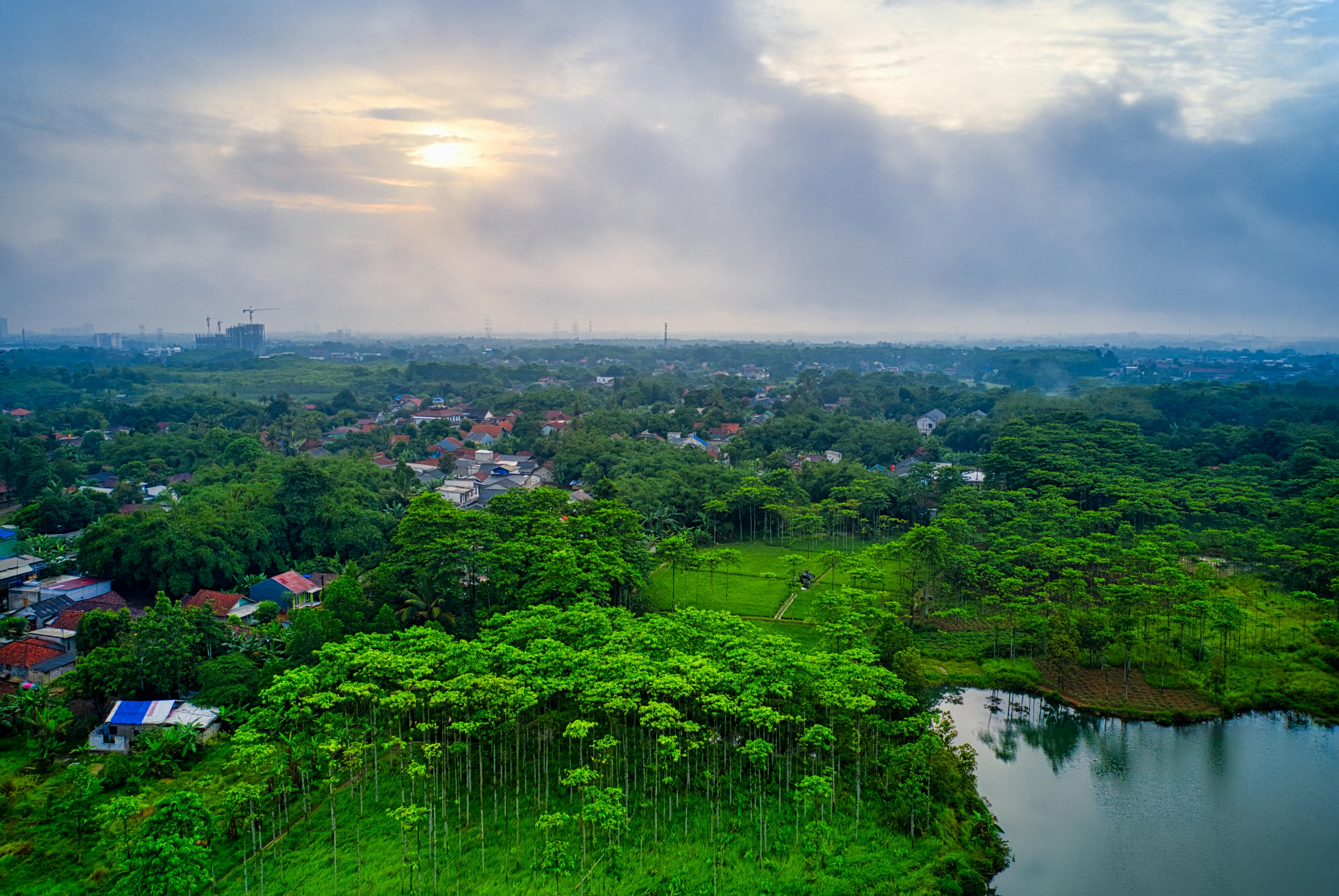 夢(mèng)中雞鳴，一場(chǎng)奇妙的夢(mèng)境之旅