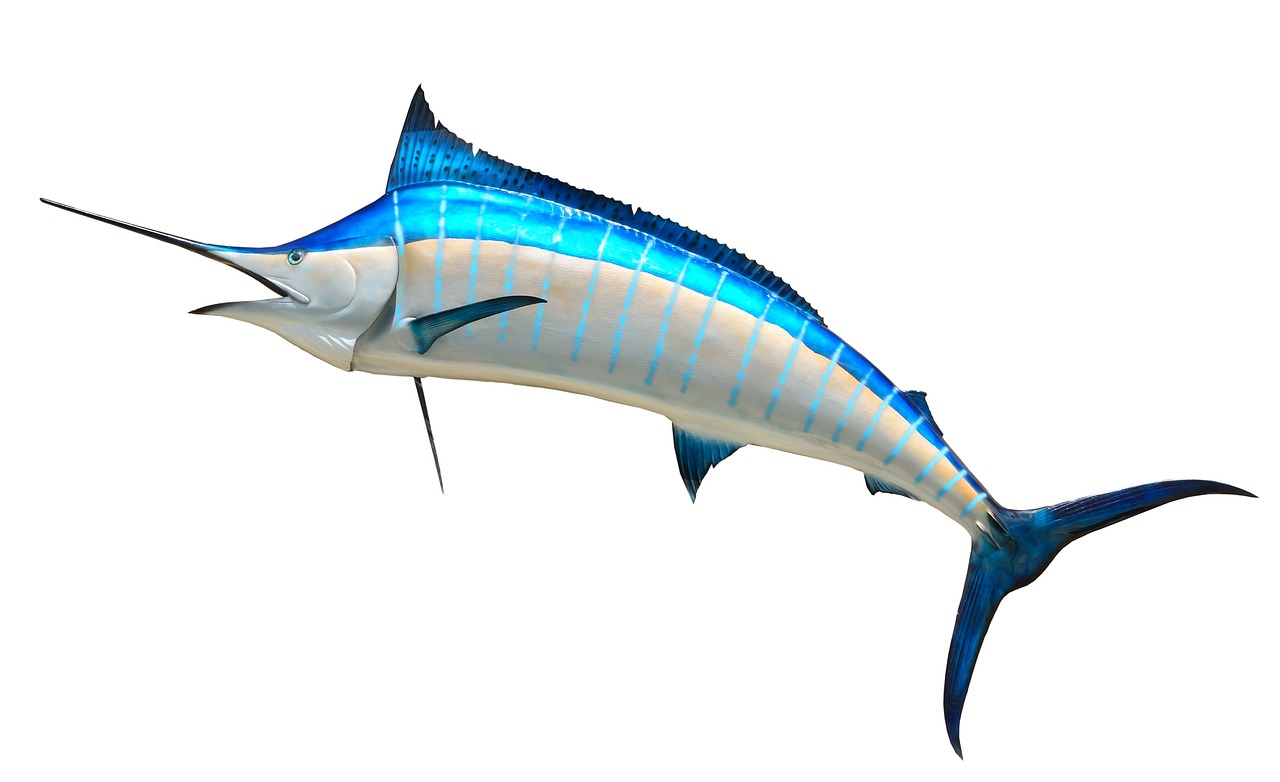 無限制的海洋冒險，游戲釣魚免費下載體驗