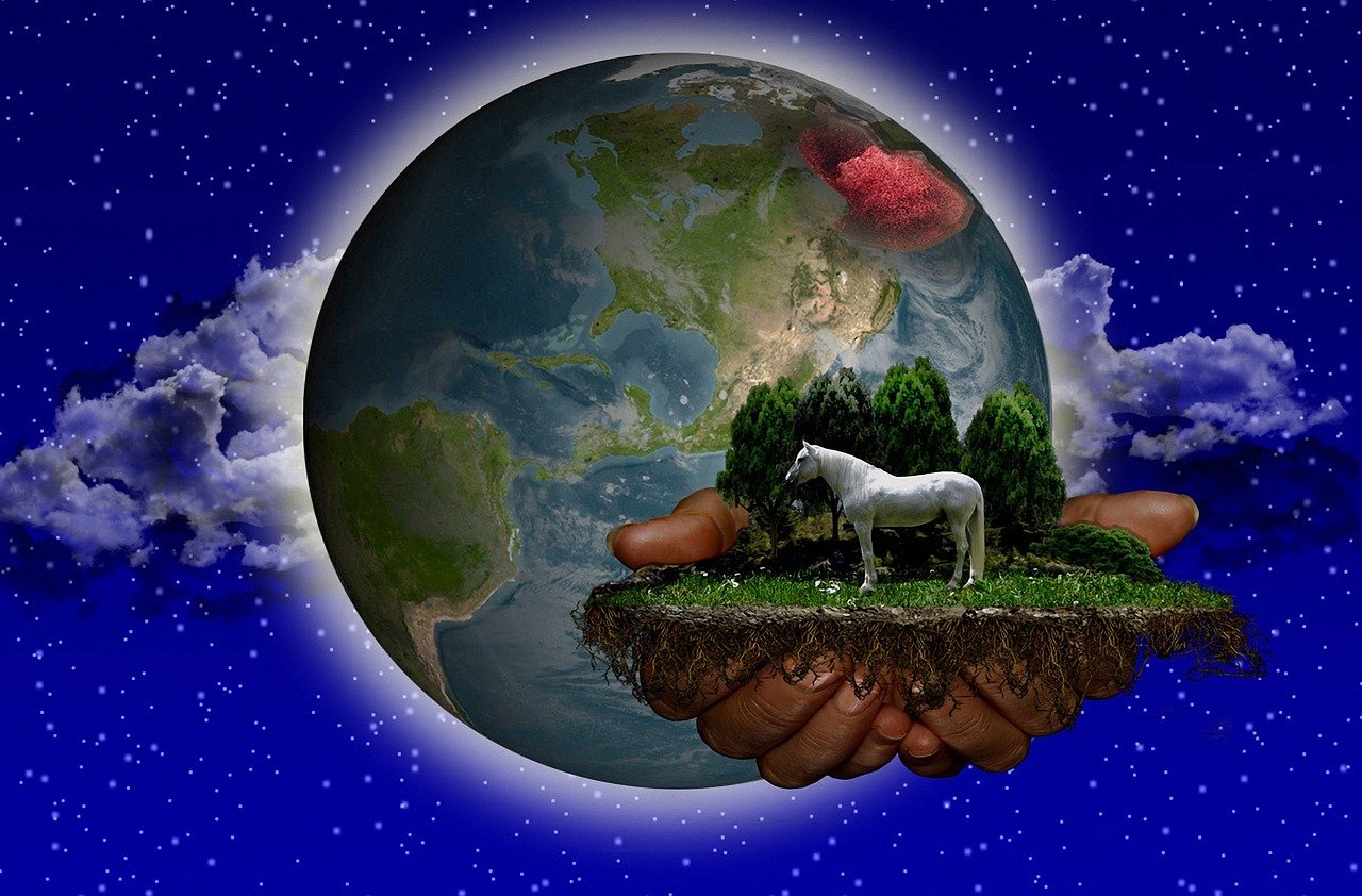 探索虛擬現(xiàn)實的世界，VR免費游戲下載地址指南