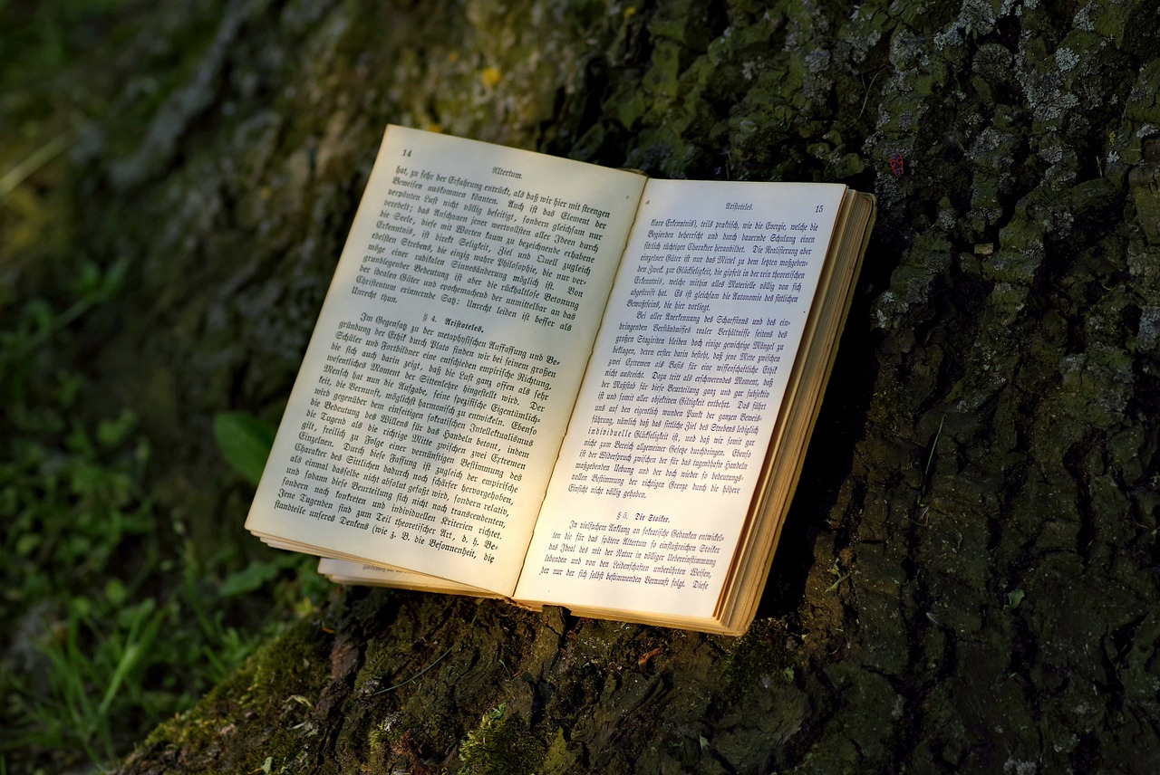夢到書，一場心靈與知識的奇妙旅程
