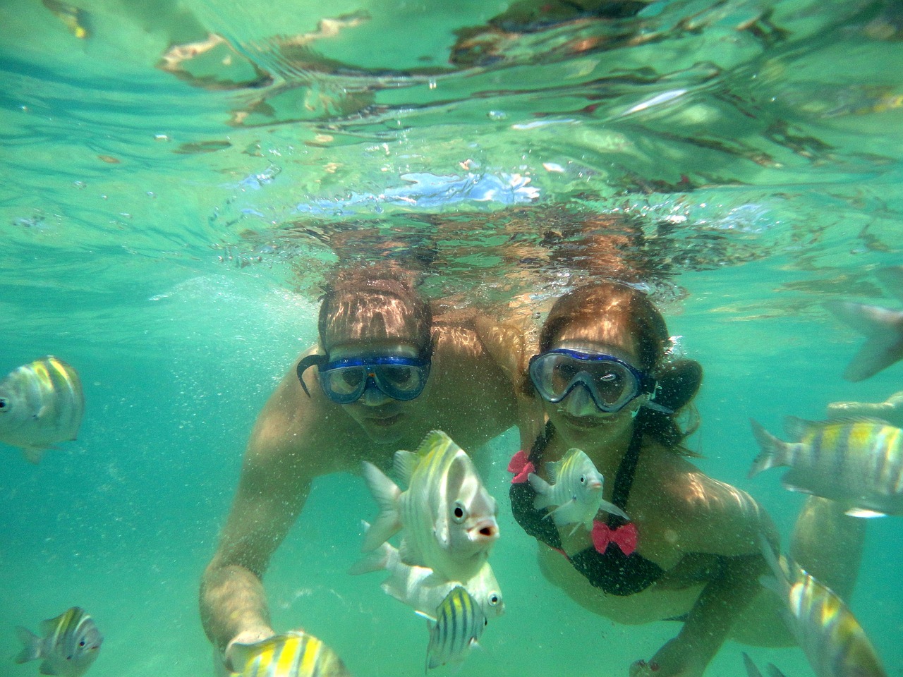 夢(mèng)到逮魚的奇妙之旅