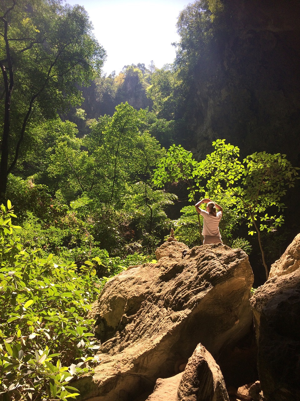 山路之夢(mèng)，探索未知的旅程