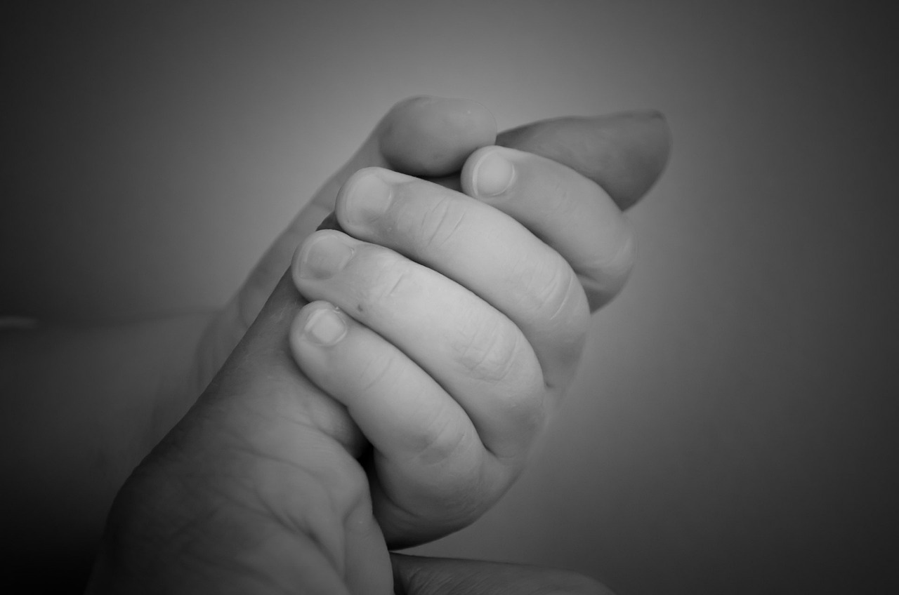 孕婦夢(mèng)到雞的寓意與解讀