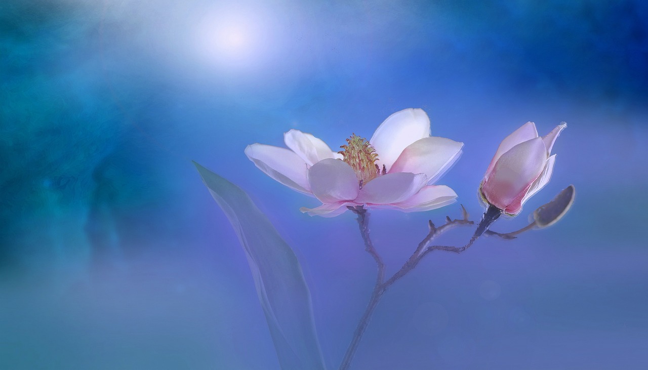 夢(mèng)境中的月經(jīng)之謎，一次心靈與生理的交織體驗(yàn)