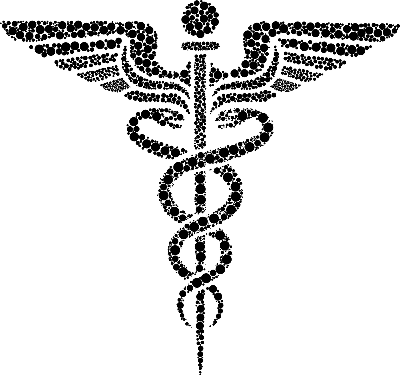 夢(mèng)中的蛇影，蛇跑了的啟示
