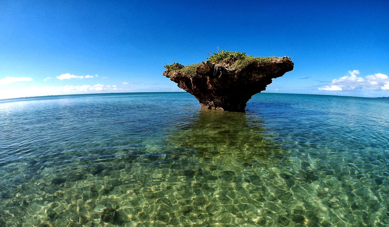 鯊魚游戲免費(fèi)下載，帶你體驗(yàn)最真實(shí)的海洋世界