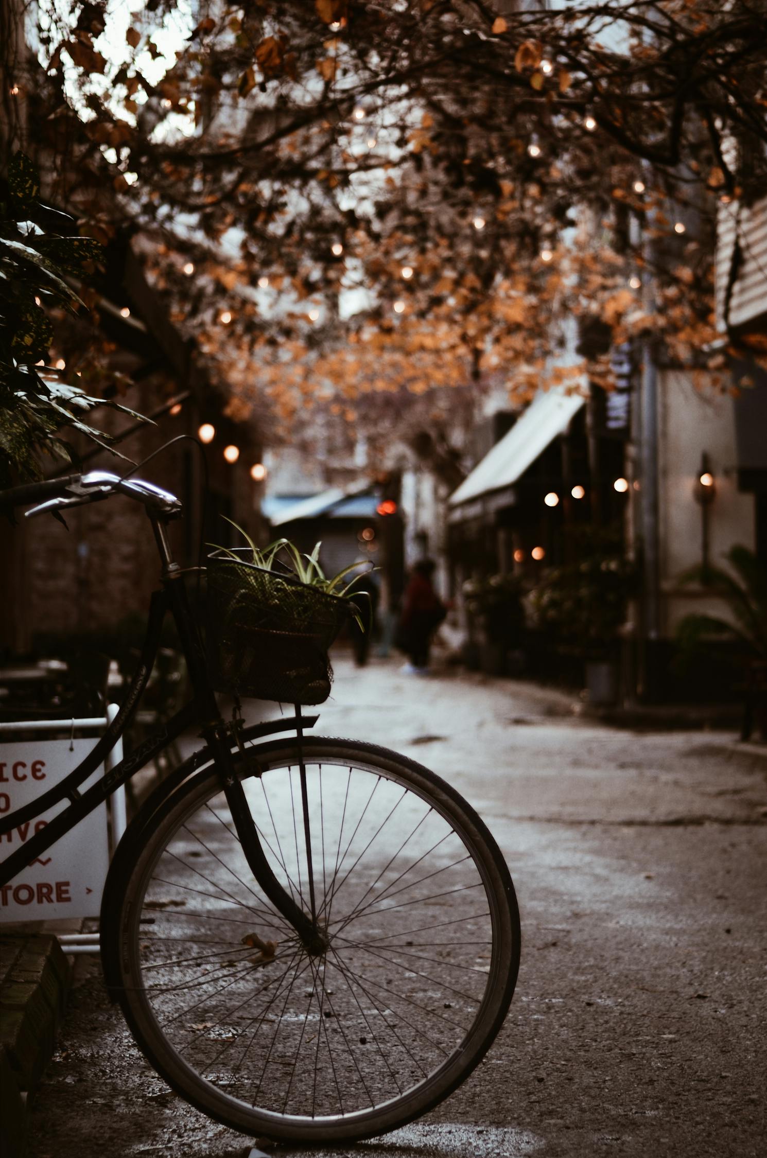 夢(mèng)中的電車之旅，一次難忘的騎行體驗(yàn)
